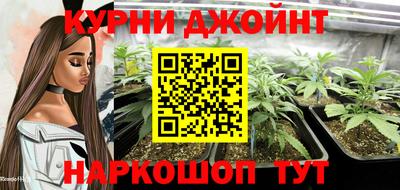 стаф Донецк