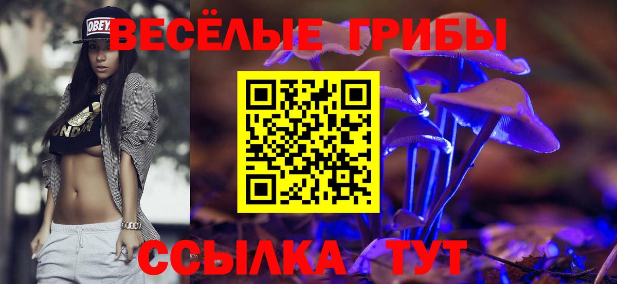Псилоцибиновые грибы Psilocybine cubensis  Вход с VPN  Лосино-Петровский  Галлюциногенные грибы Psilocybe 